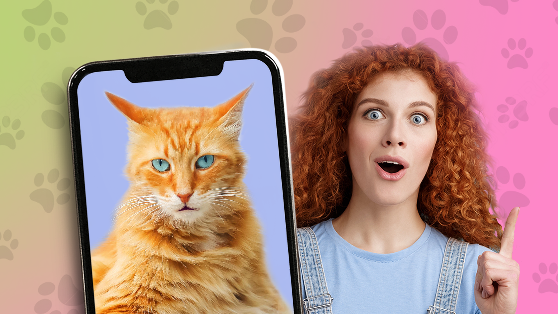 اسکرین شات 4 بازی Kitten: what cat are you? joke