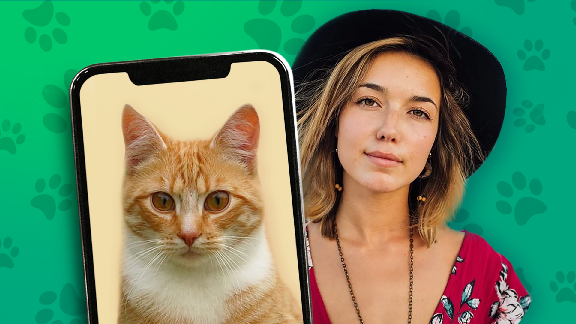 اسکرین شات 1 بازی Kitten: what cat are you? joke