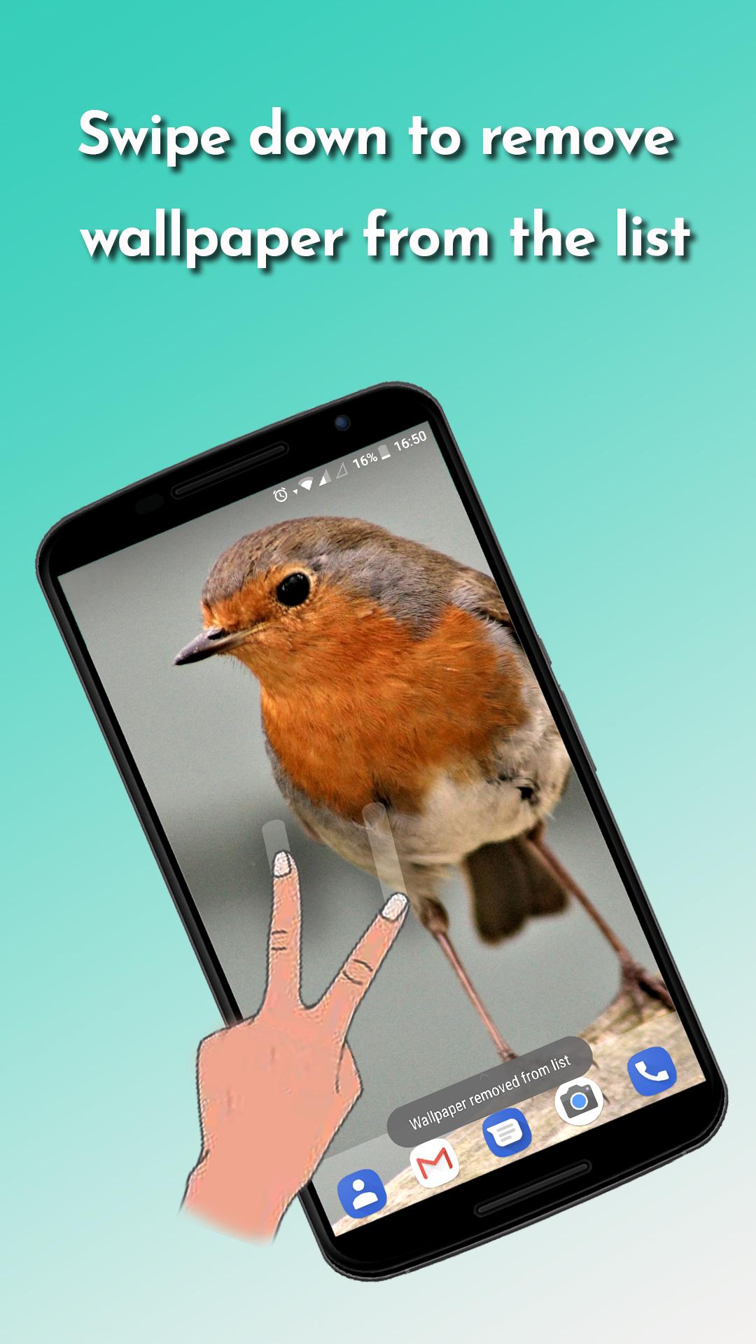اسکرین شات 8 برنامه Auto Wallpaper