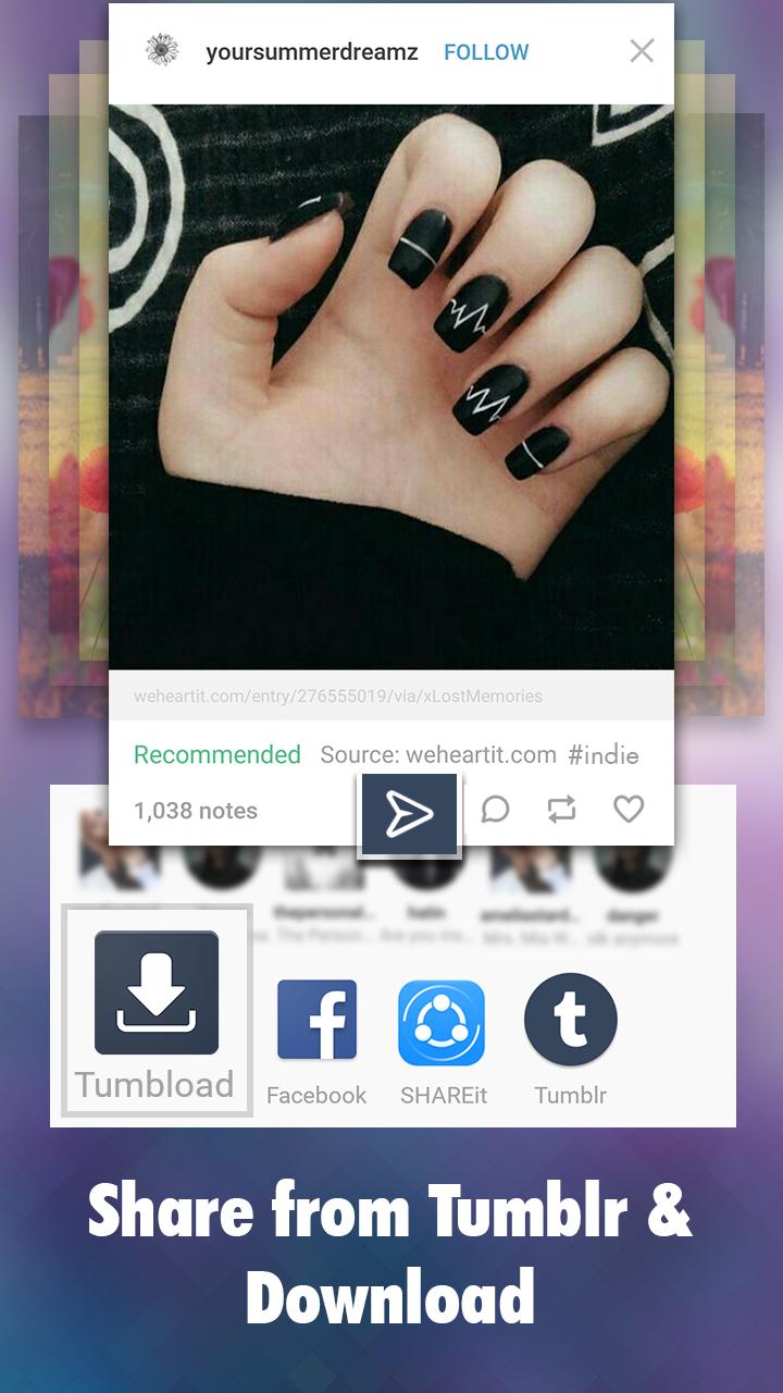اسکرین شات 2 برنامه Downloader for Tumblr