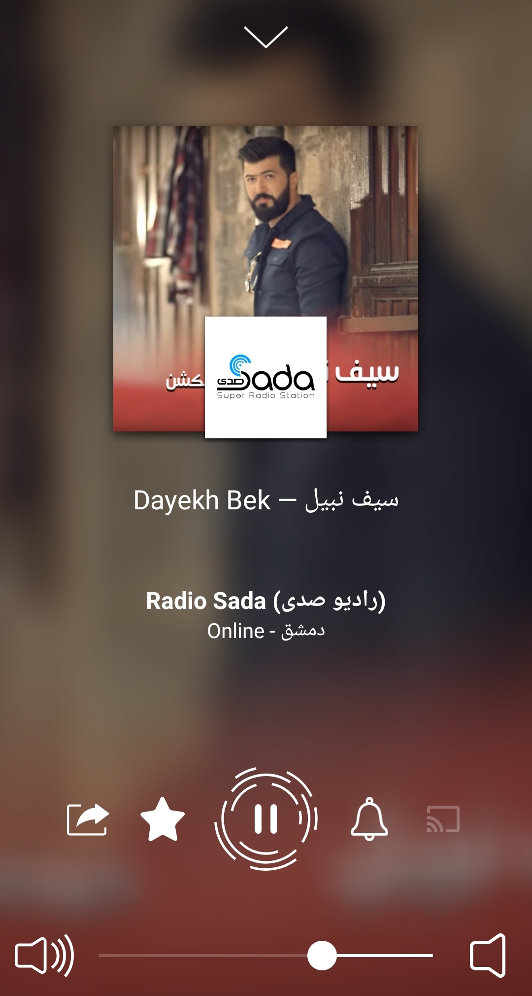 اسکرین شات 4 برنامه Radio Arabic