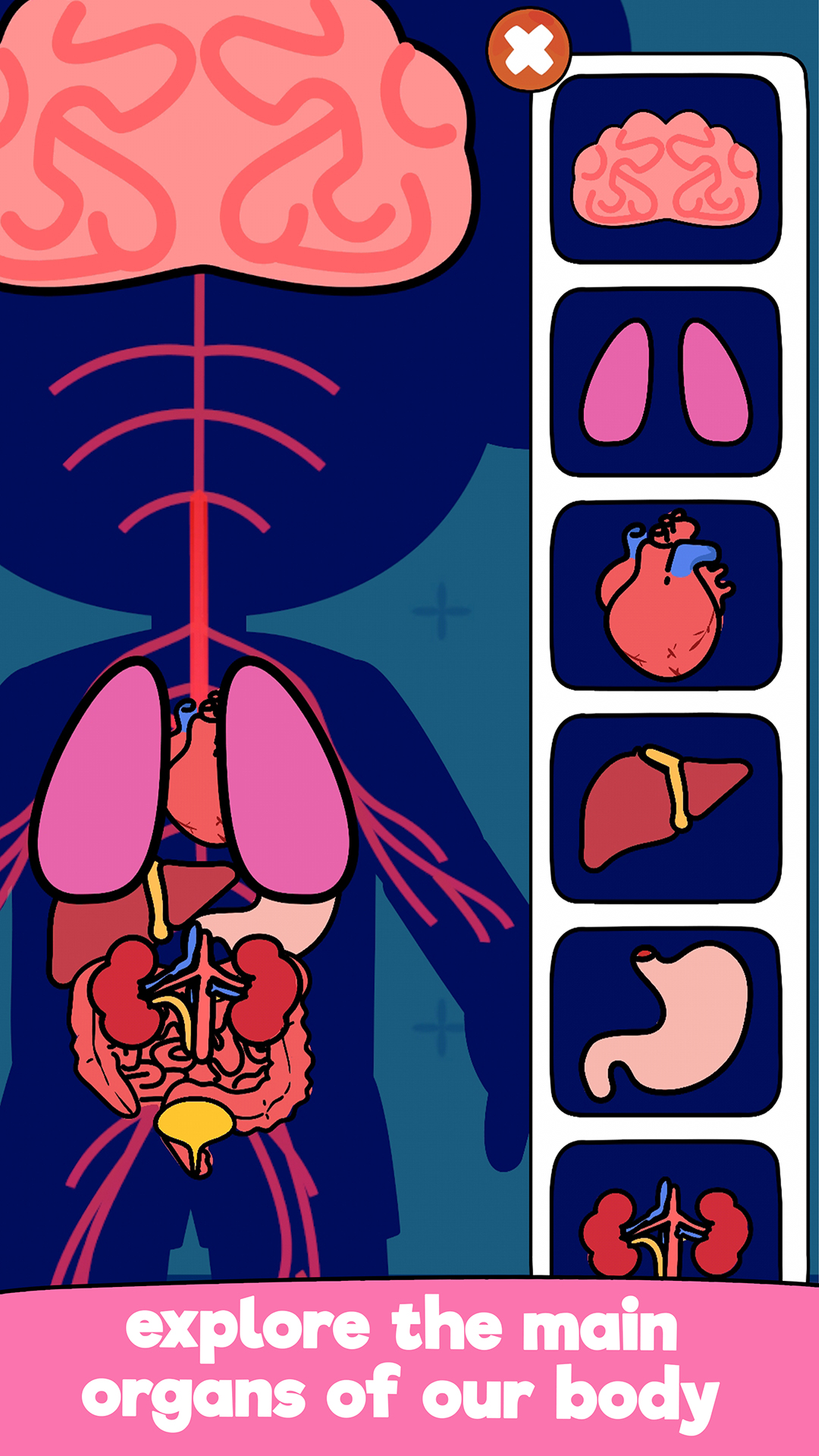 اسکرین شات 4 بازی Body Parts for Kids