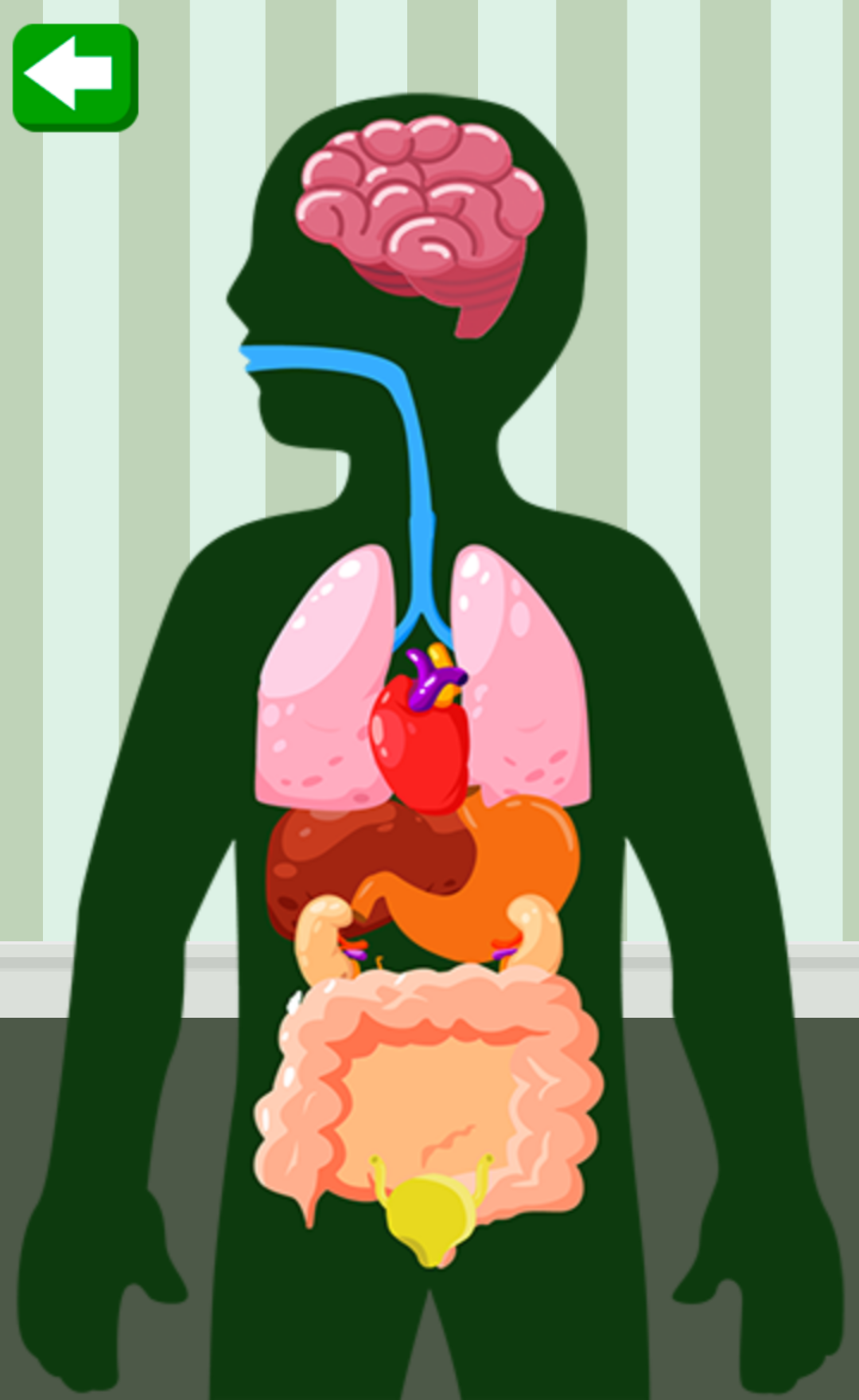 اسکرین شات 7 بازی Body Parts for Kids