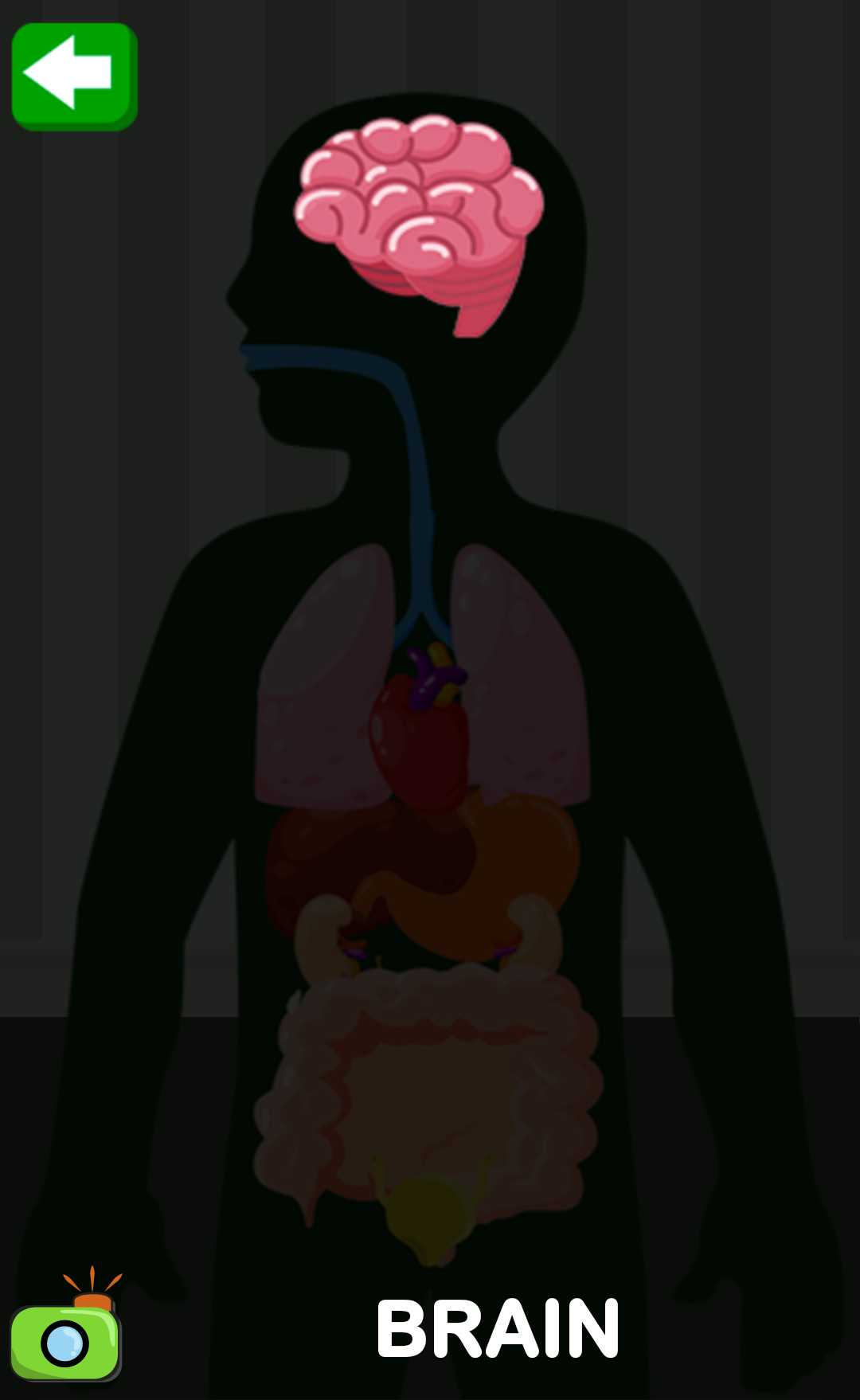 اسکرین شات 8 بازی Body Parts for Kids