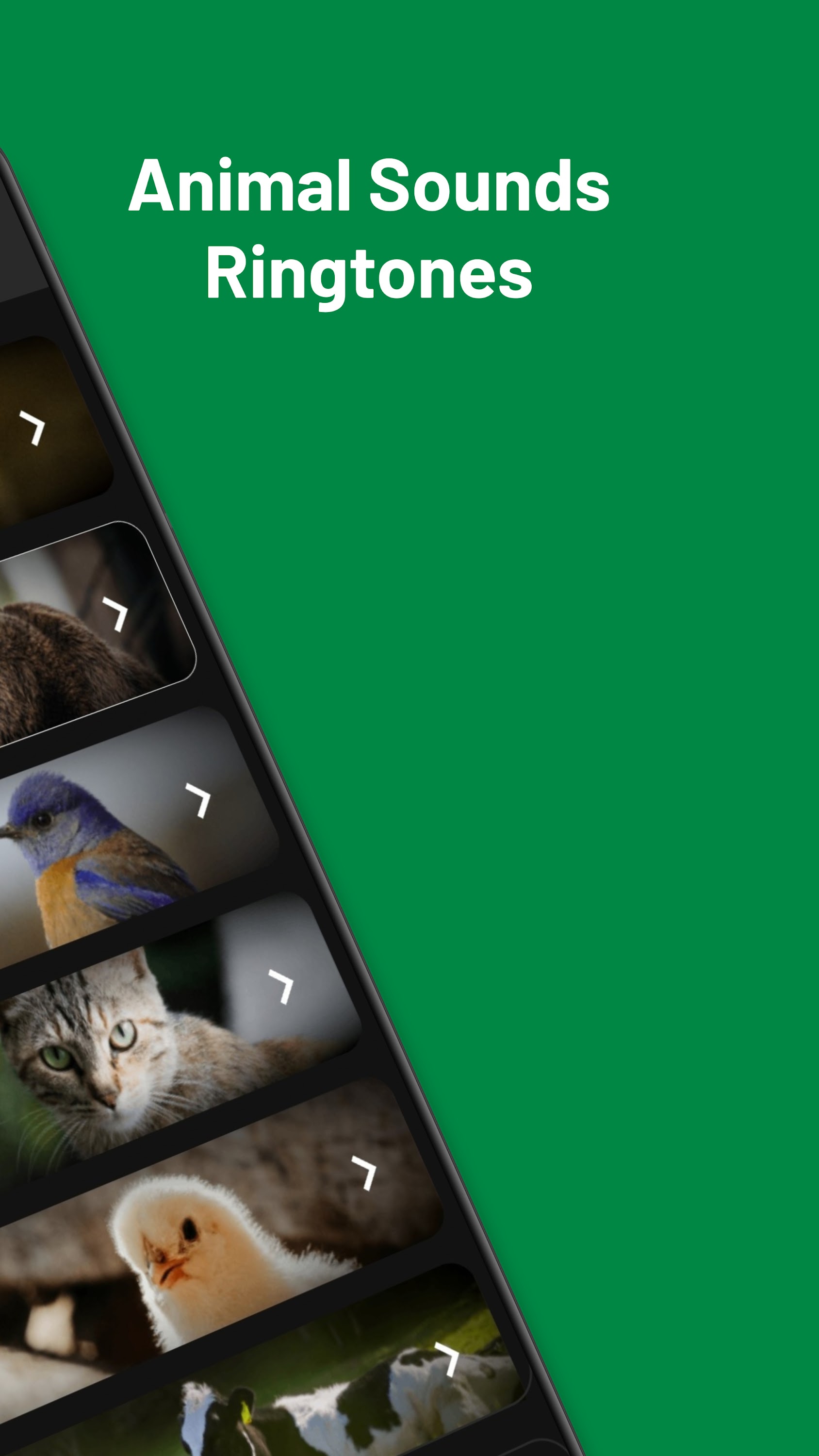 اسکرین شات 2 برنامه Animal Sounds Ringtones