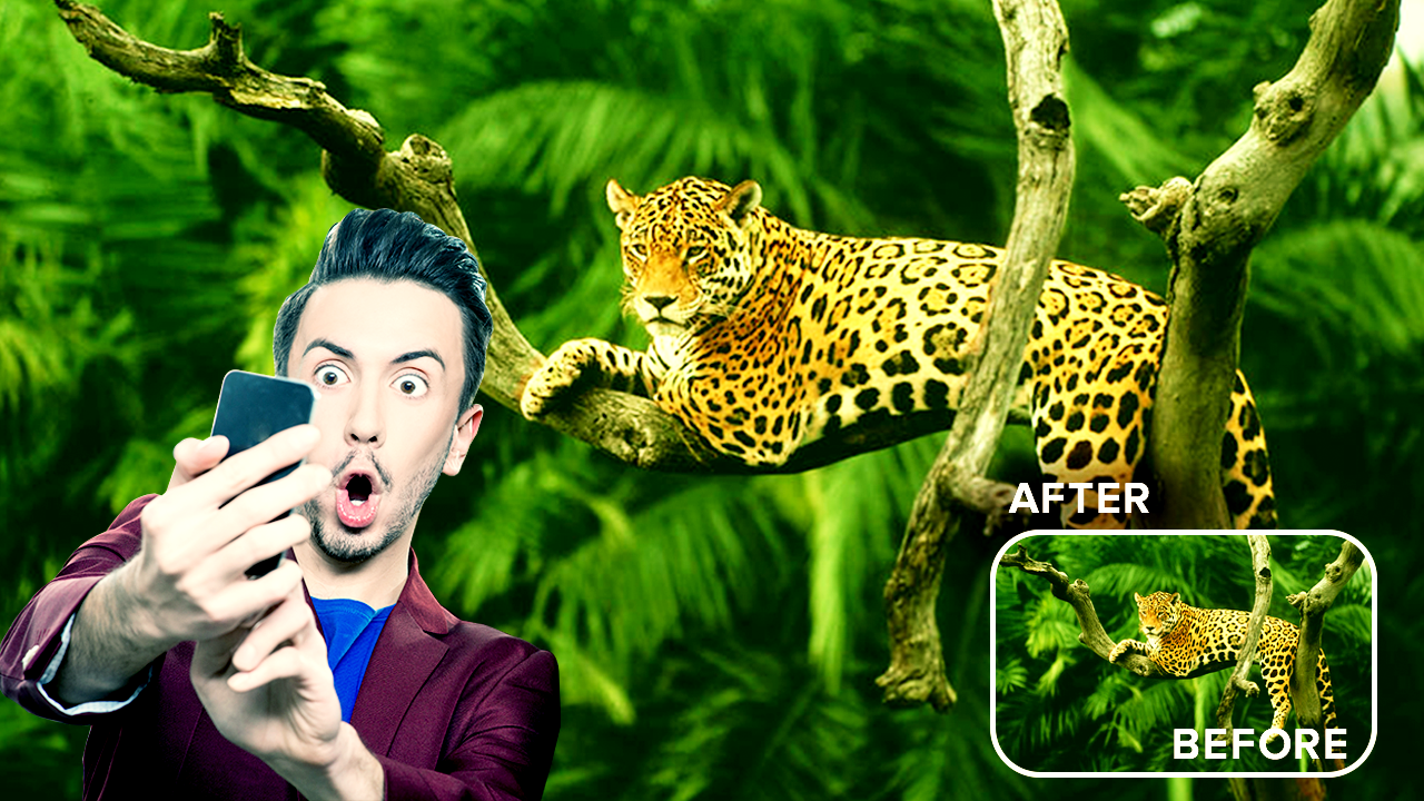 اسکرین شات 3 برنامه Wild Animal Photo Editor Frame