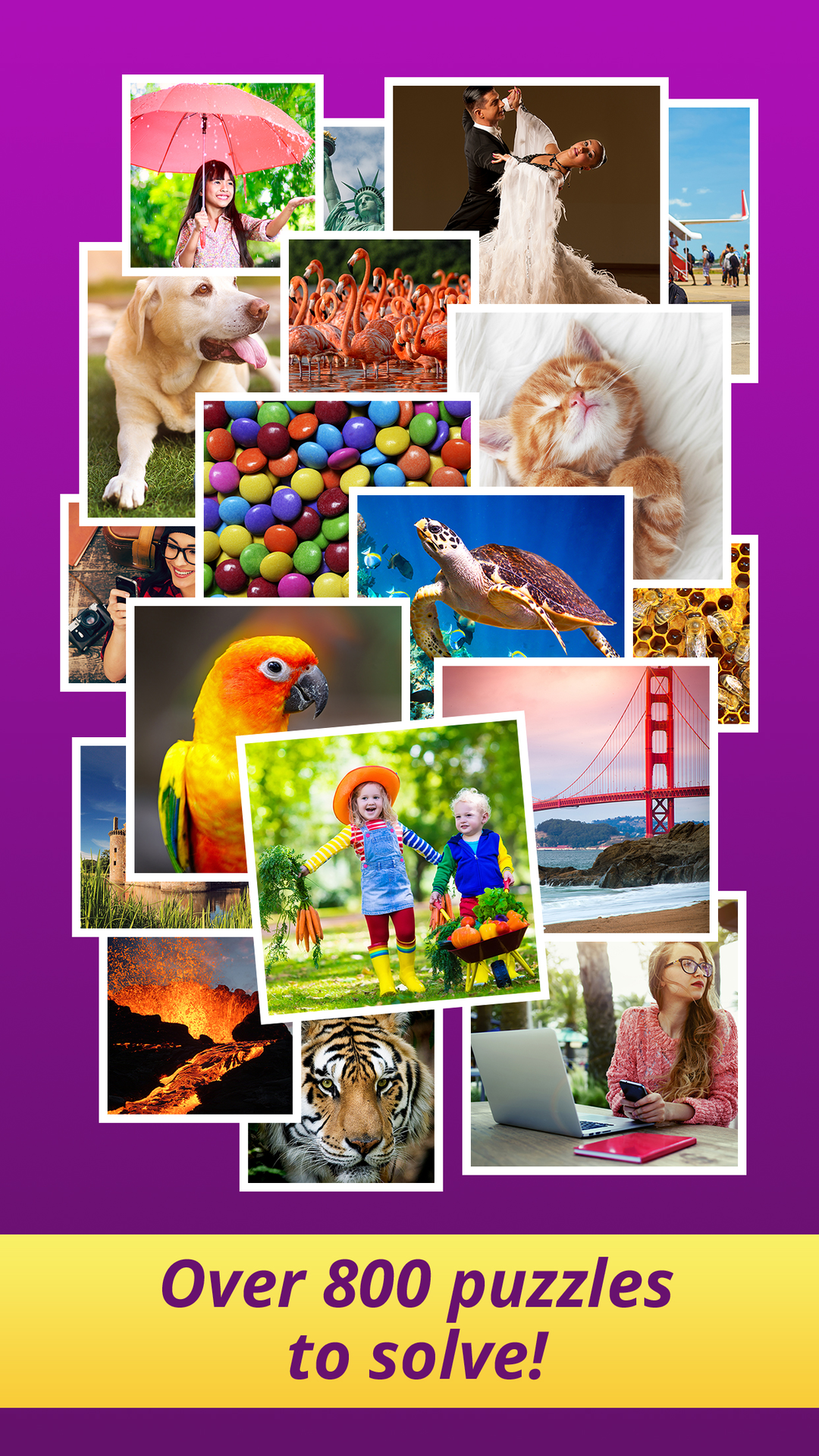 اسکرین شات 4 بازی One Clue Crossword