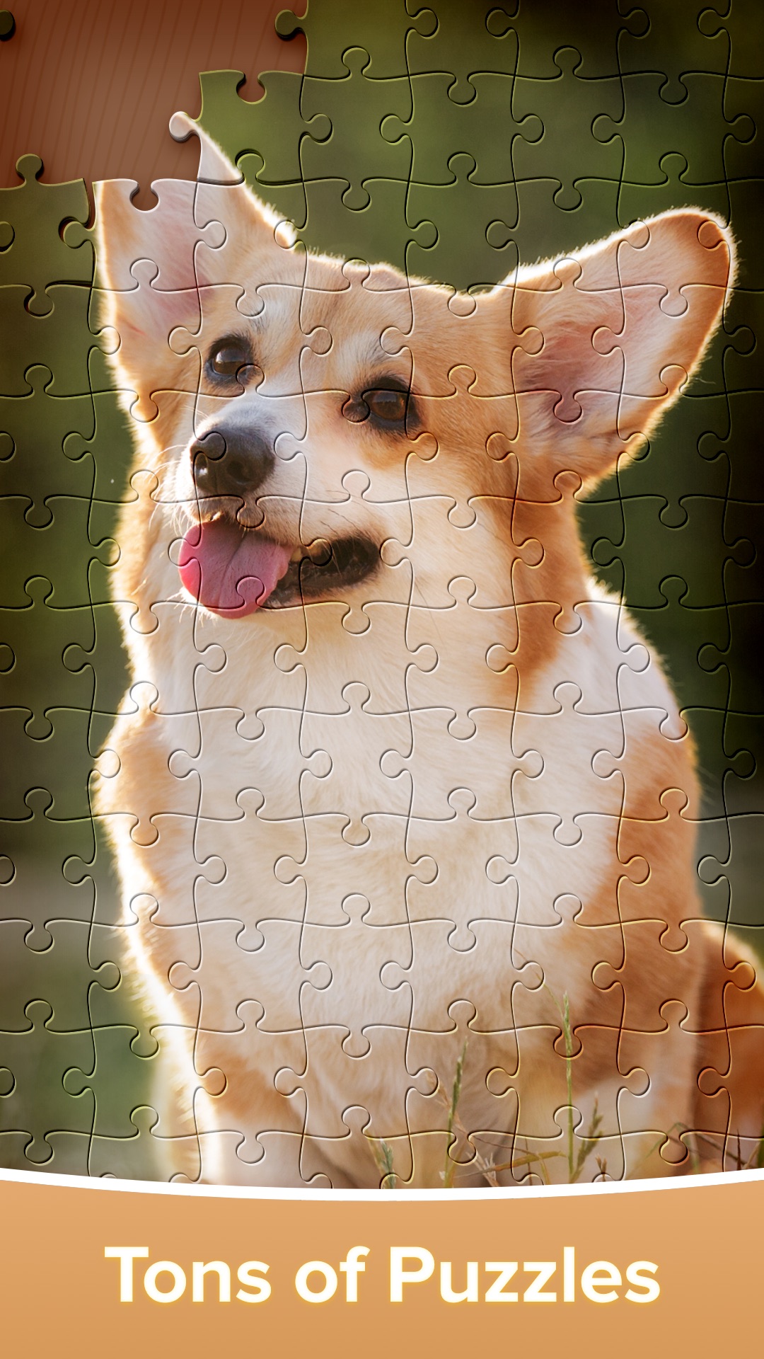 اسکرین شات 2 بازی Jigsaw Puzzles: HD Puzzle Game