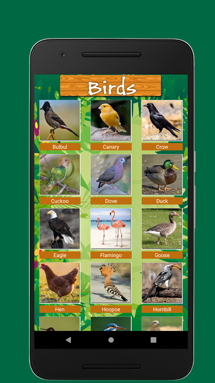 اسکرین شات 4 برنامه Birds & Animal Sounds