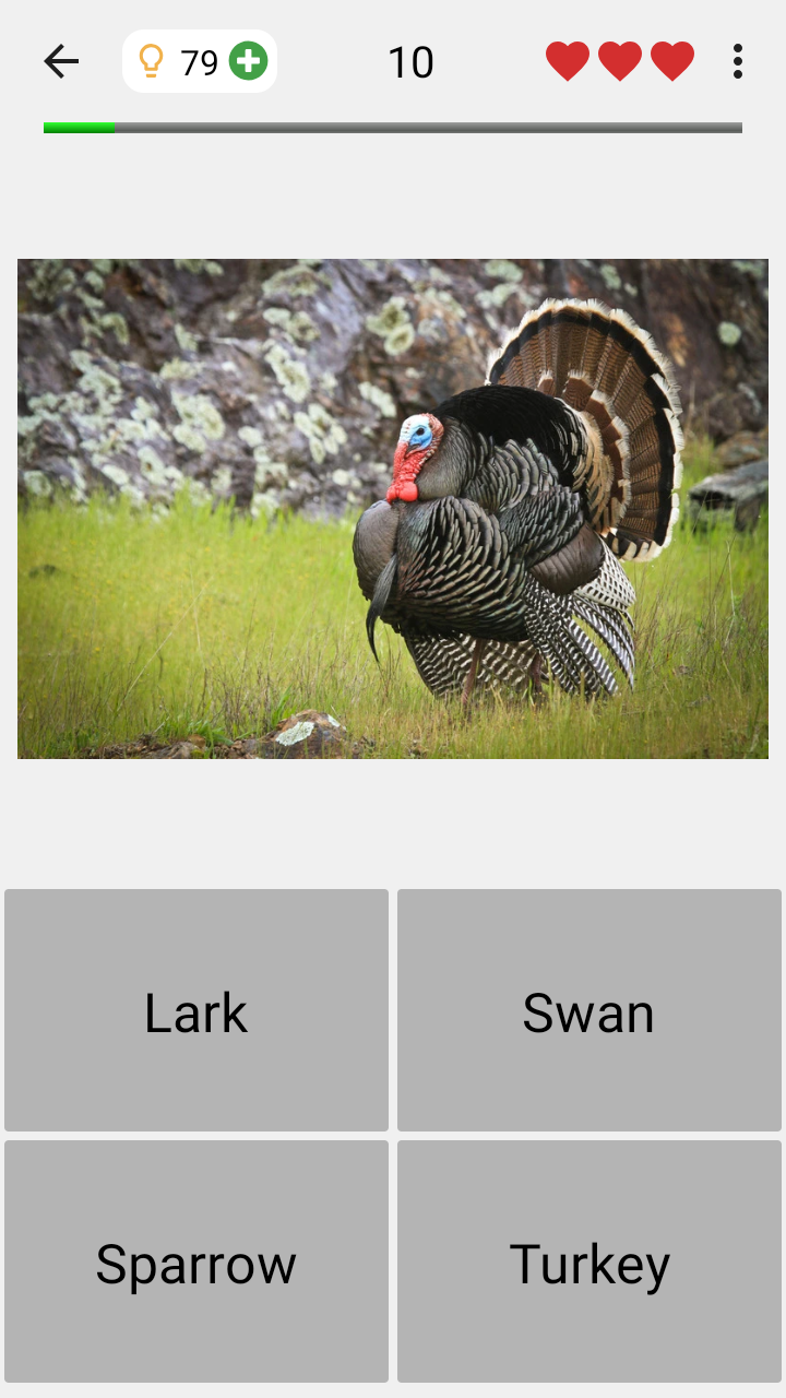 اسکرین شات 4 بازی Animals Quiz Learn All Mammals