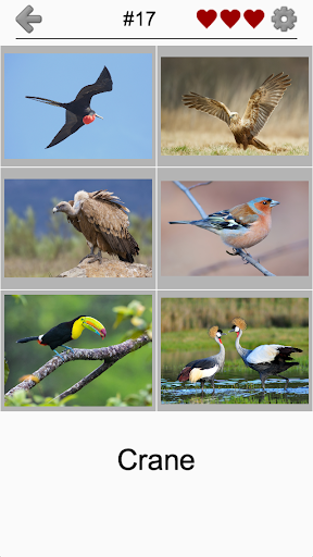 اسکرین شات 2 بازی Bird World - Quiz about Famous Birds of the Earth