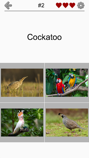 اسکرین شات 5 بازی Bird World - Quiz about Famous Birds of the Earth