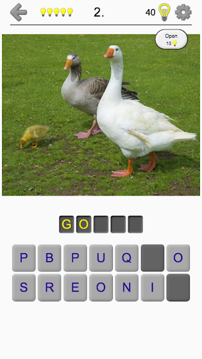 اسکرین شات 6 بازی Bird World - Quiz about Famous Birds of the Earth