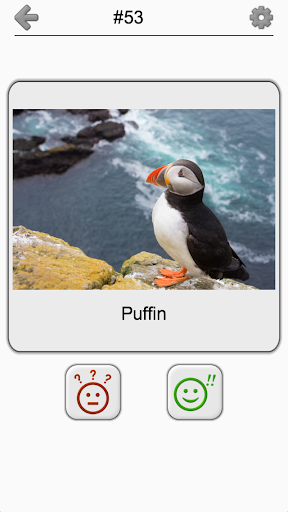 اسکرین شات 4 بازی Bird World - Quiz about Famous Birds of the Earth
