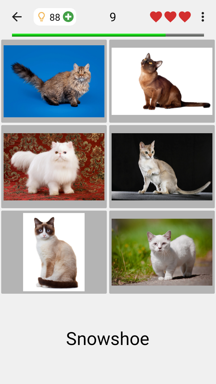 اسکرین شات 2 بازی Cats Quiz Guess Popular Breeds