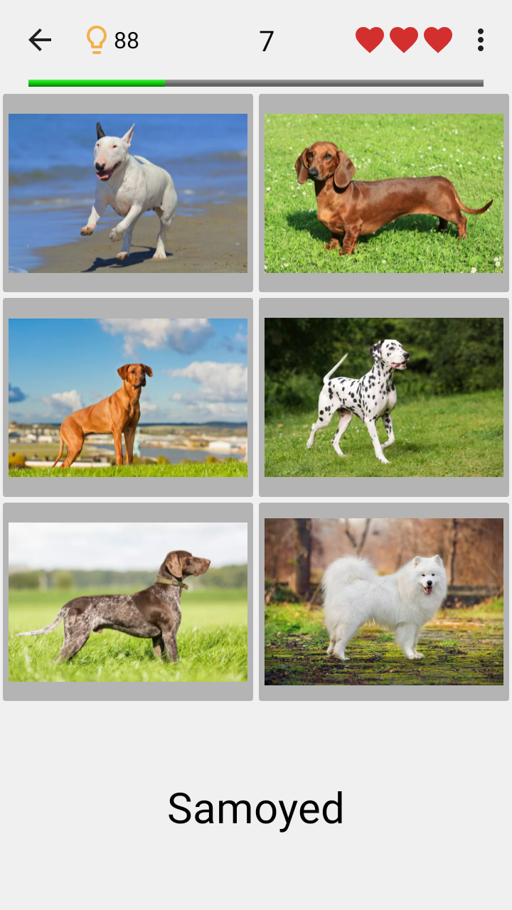 اسکرین شات 1 بازی Dogs Quiz - Guess All Breeds!