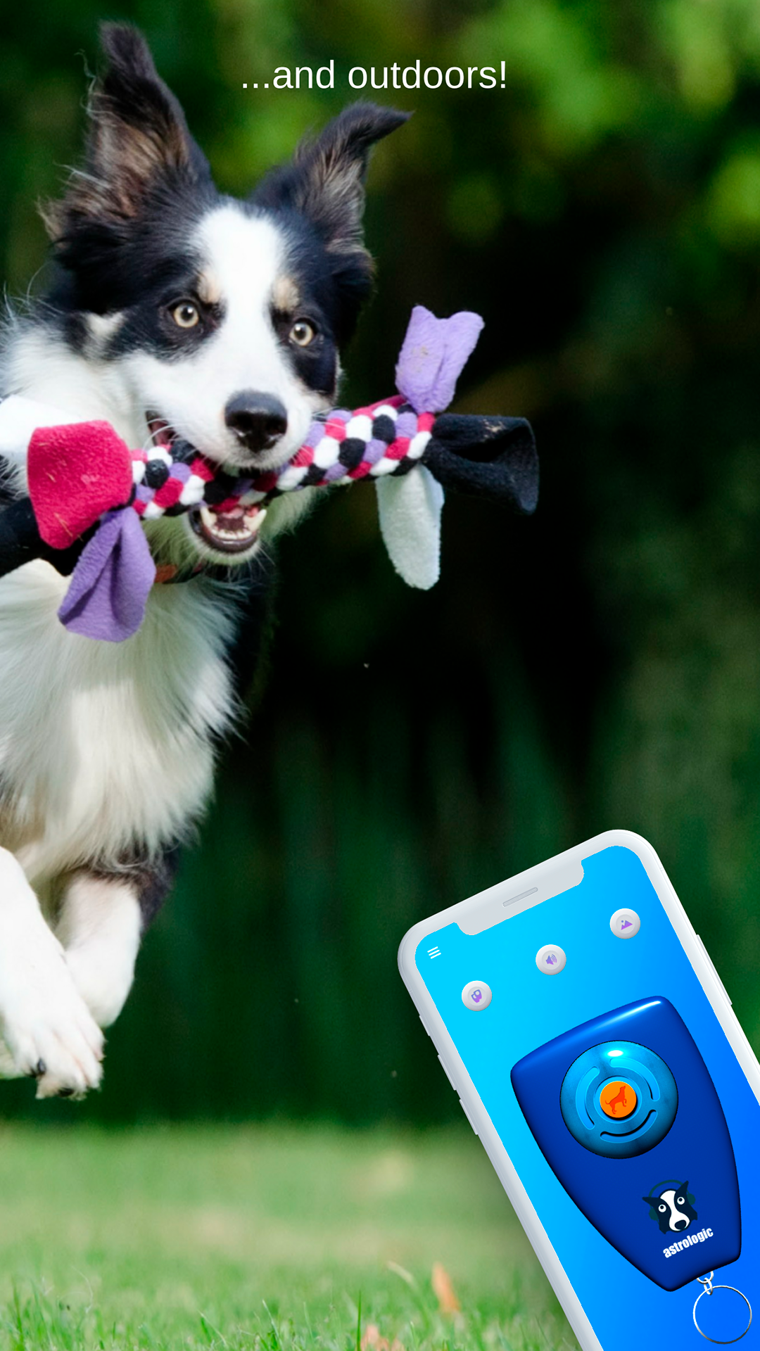اسکرین شات 3 برنامه Dog Clicker