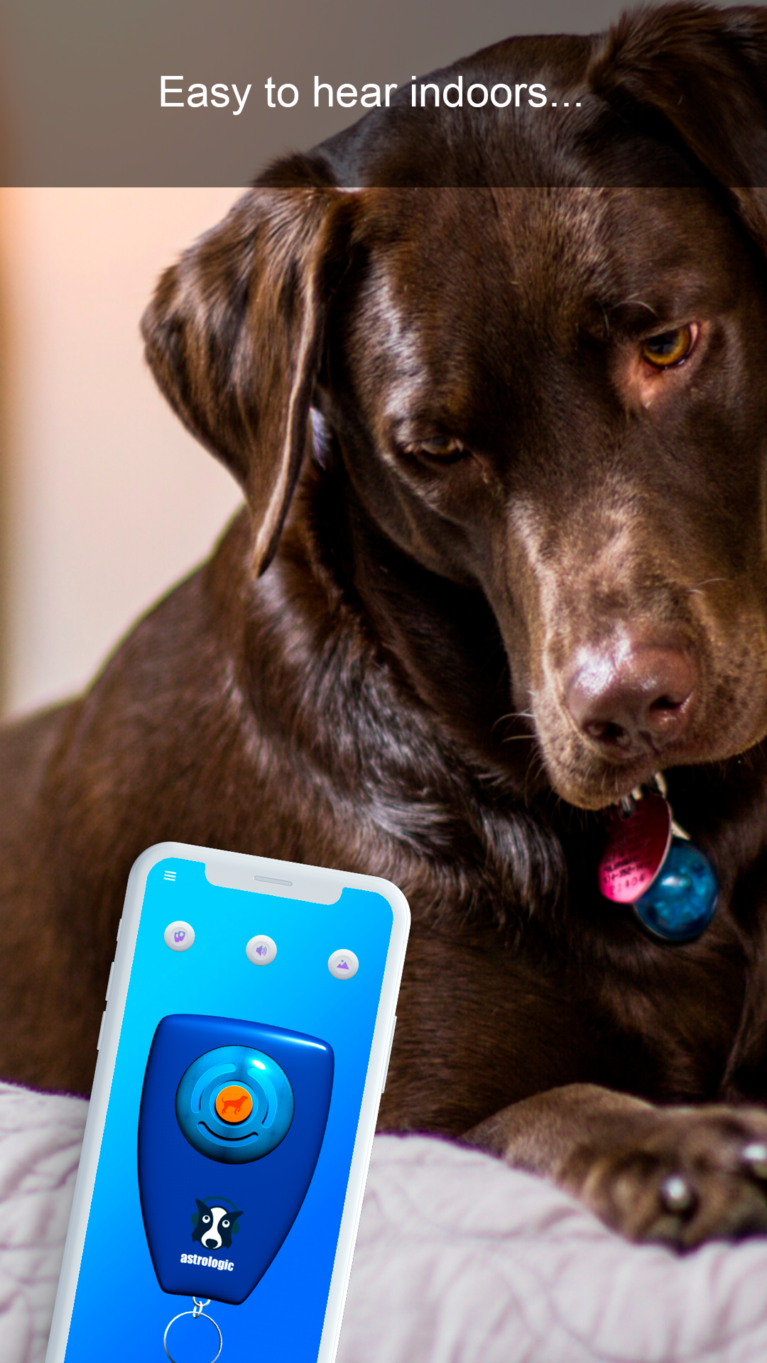 اسکرین شات 2 برنامه Dog Clicker