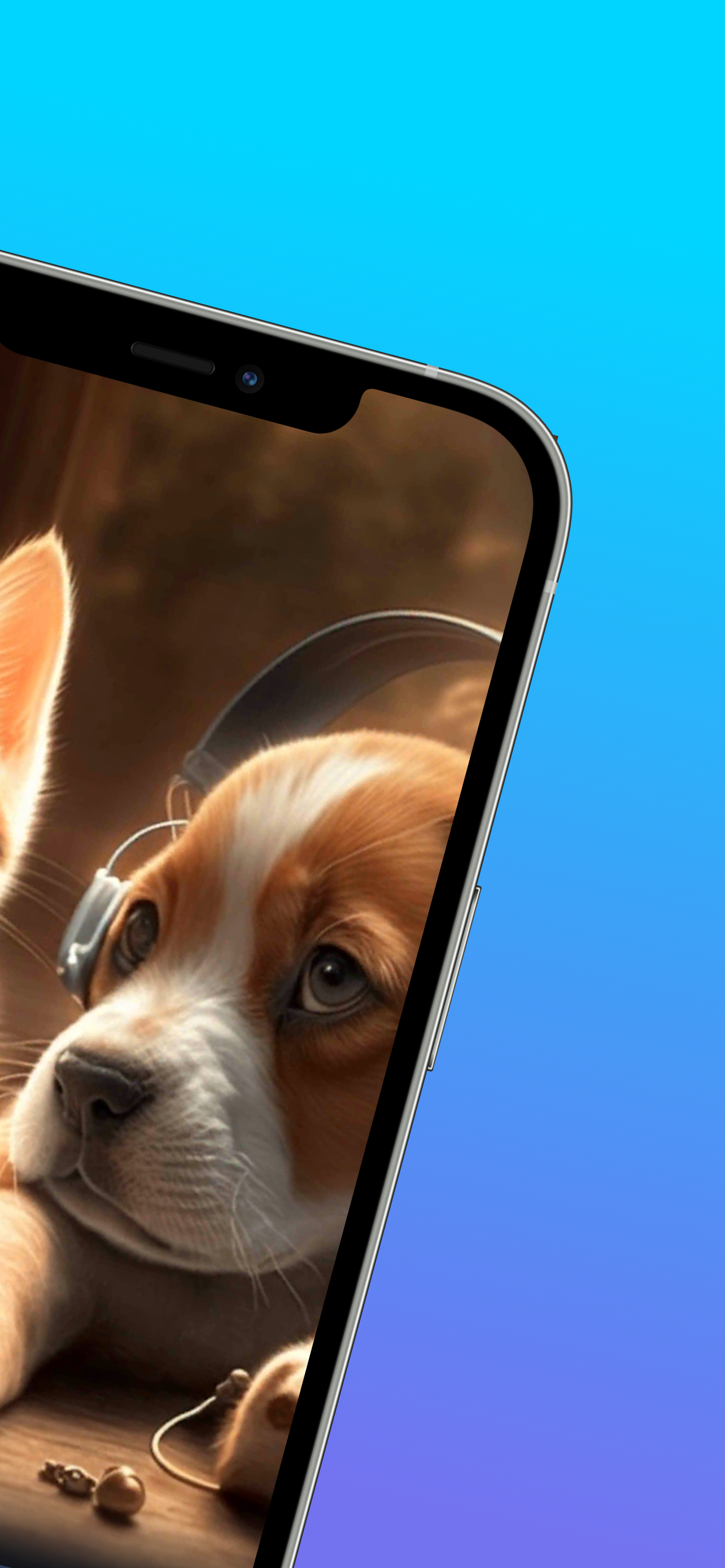 اسکرین شات 2 برنامه Relax Music for Cats and Dogs