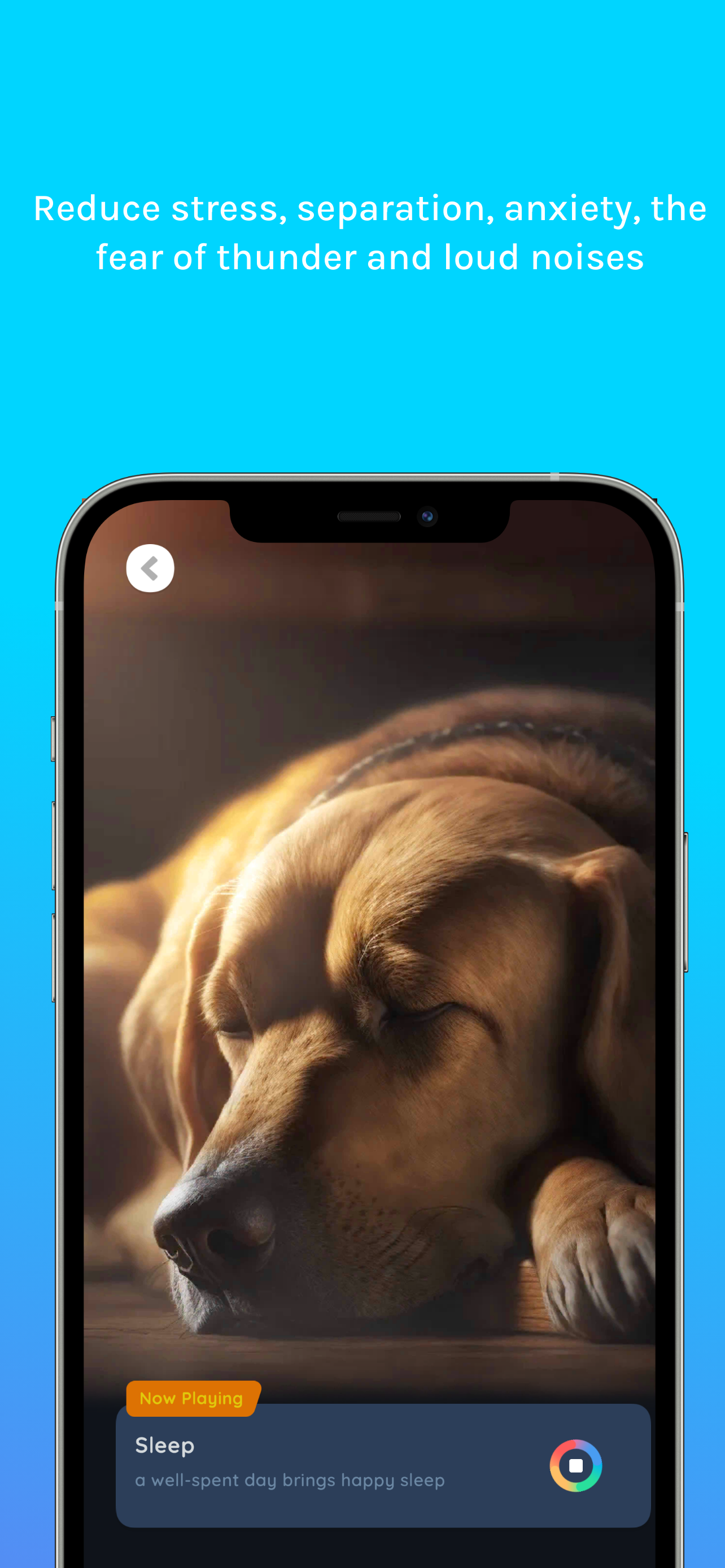اسکرین شات 5 برنامه Relax Music for Cats and Dogs