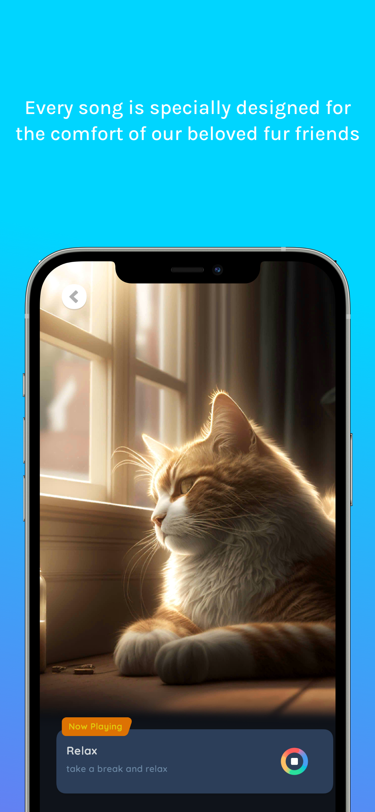 اسکرین شات 4 برنامه Relax Music for Cats and Dogs