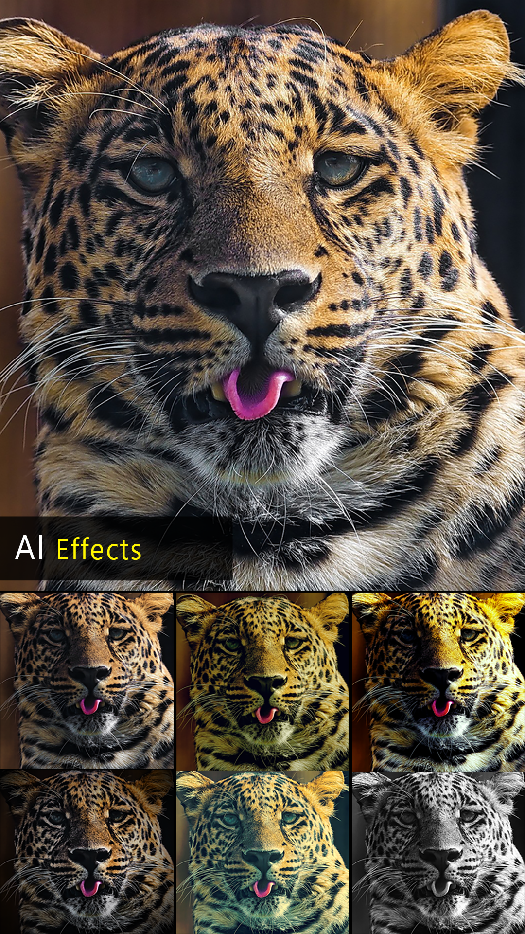 اسکرین شات 1 برنامه HD Photo Editor