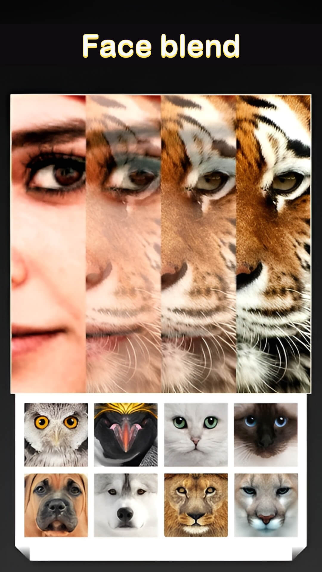 اسکرین شات 1 برنامه Beauty Face Plus :  face morph