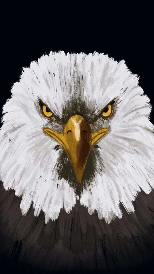 اسکرین شات 3 برنامه Eagle Wallpapers