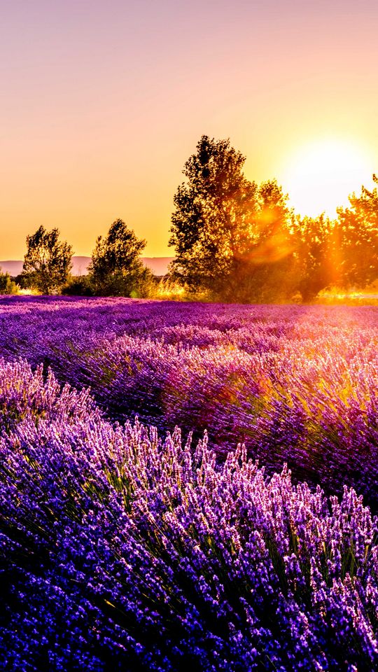 اسکرین شات 4 برنامه Landscape Wallpapers