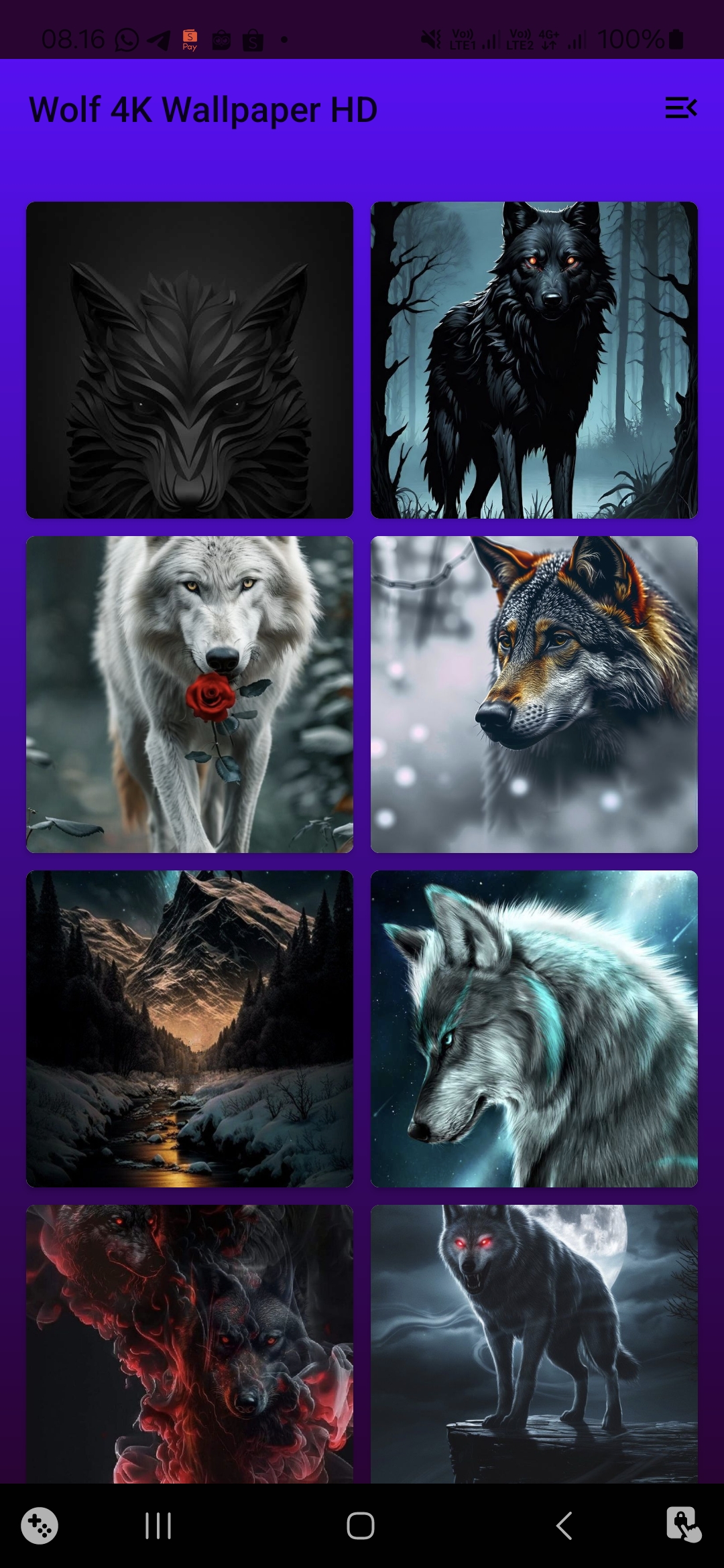 اسکرین شات 1 بازی Wolf 4K Wallpaper HD