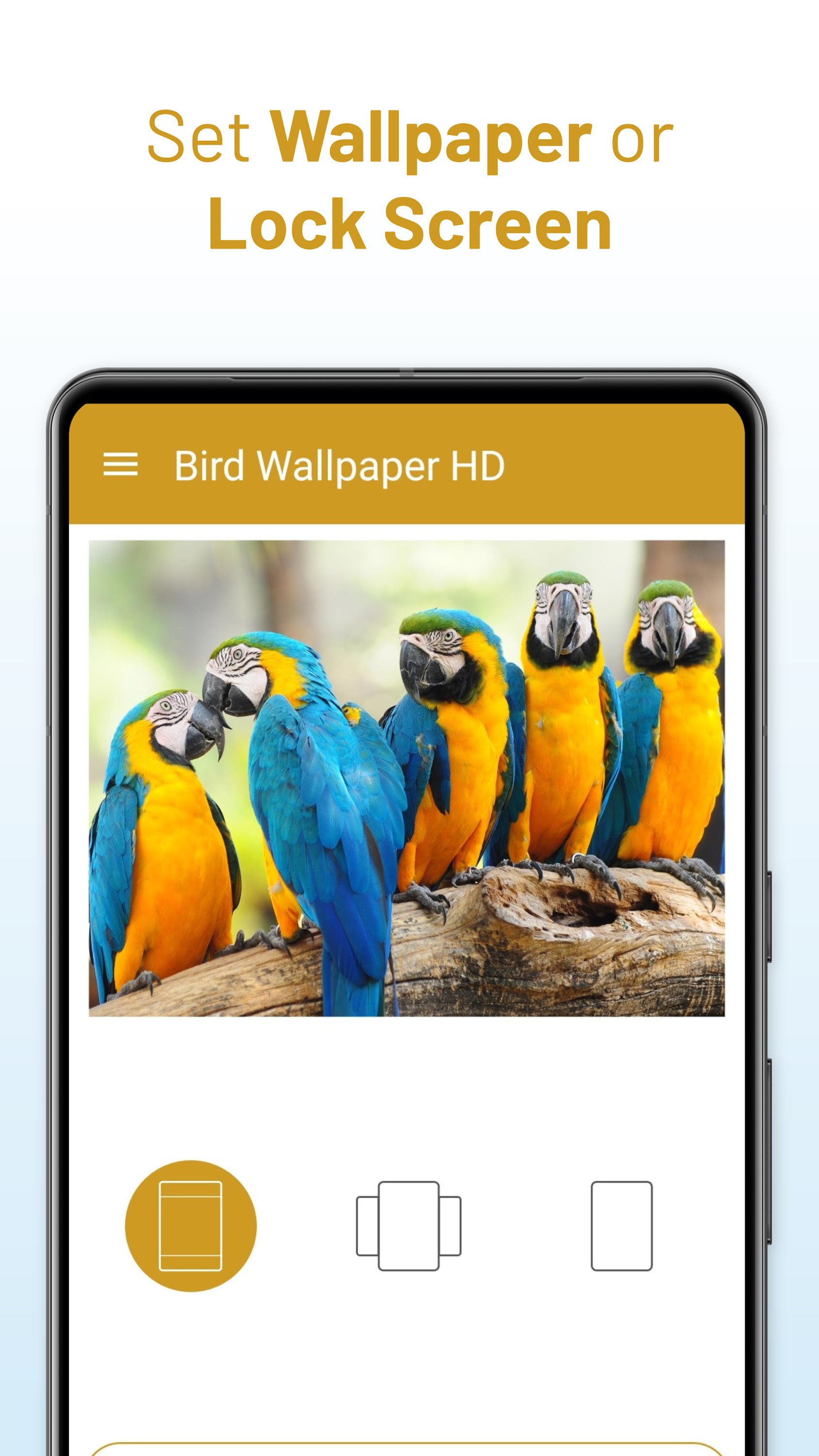 اسکرین شات 4 برنامه Bird Wallpaper HD