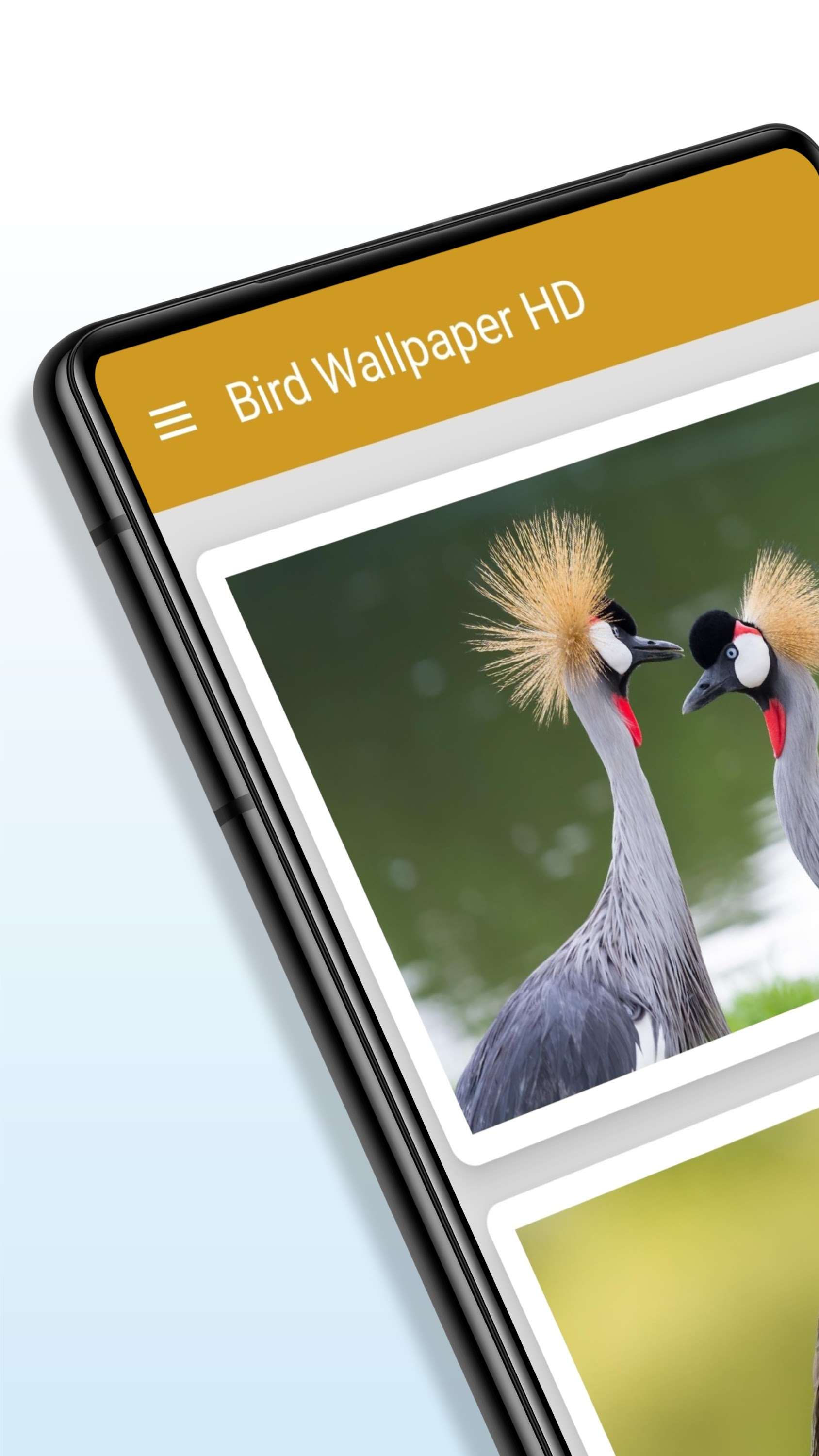 اسکرین شات 1 برنامه Bird Wallpaper HD