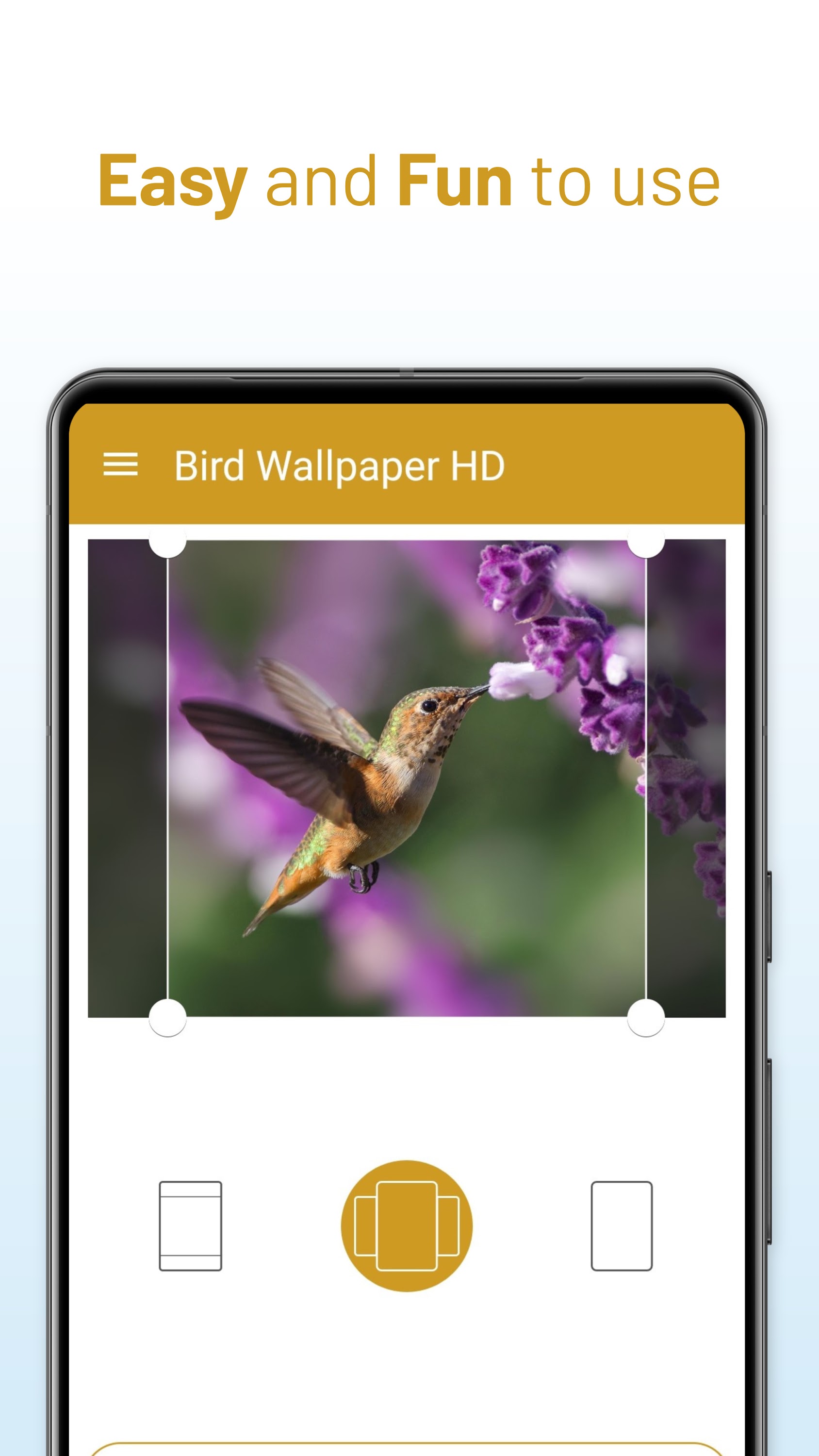 اسکرین شات 3 برنامه Bird Wallpaper HD