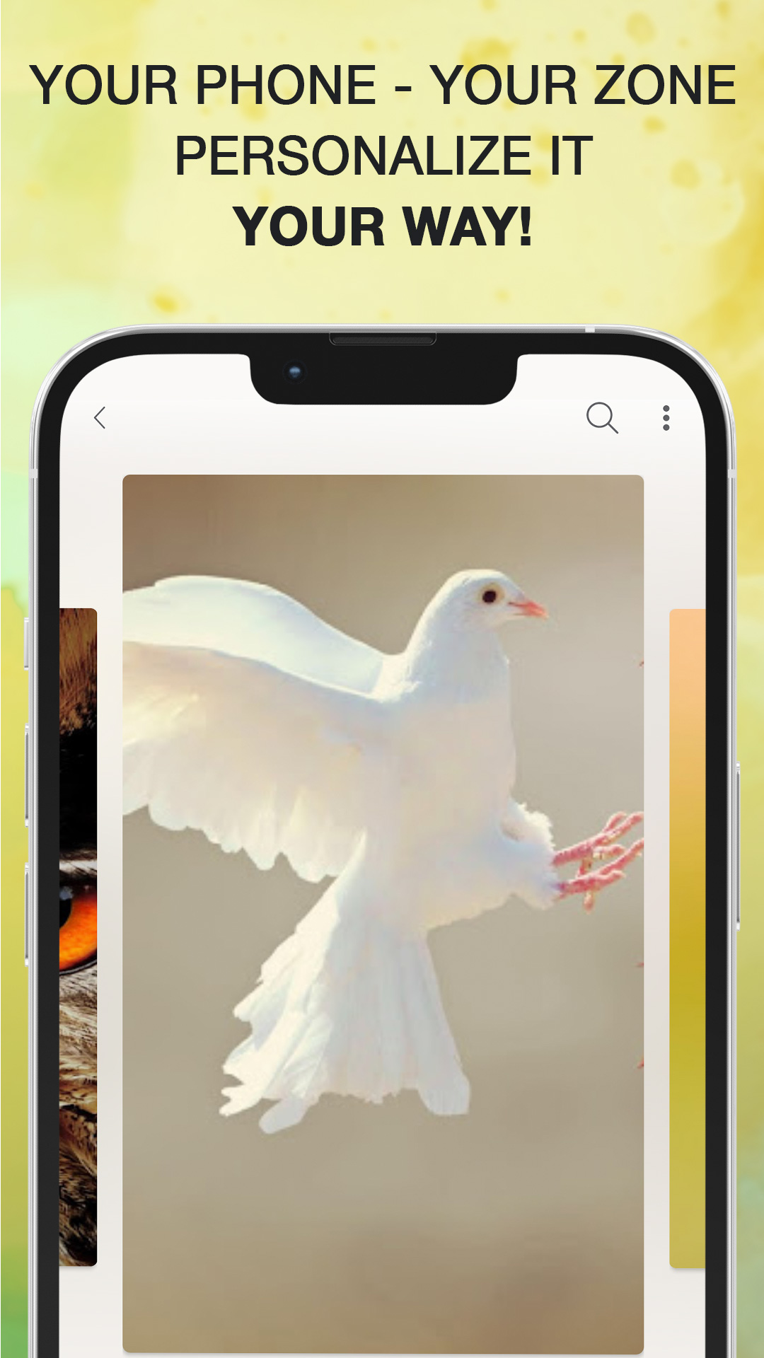 اسکرین شات 6 برنامه Bird Calls, Sounds & Ringtones