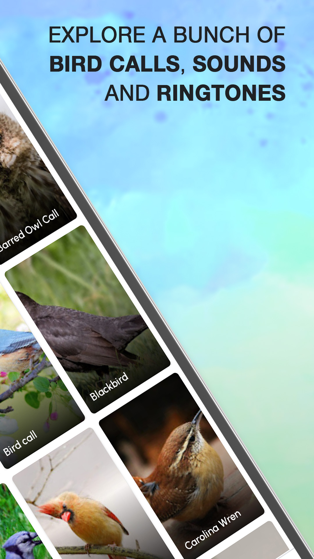 اسکرین شات 2 برنامه Bird Calls, Sounds & Ringtones