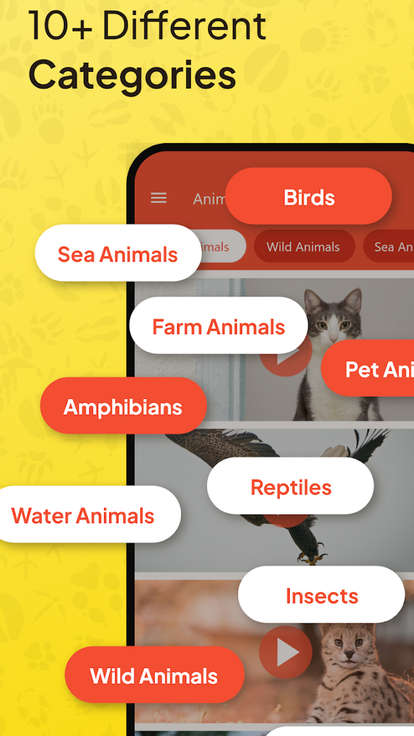 اسکرین شات 1 برنامه Animal Ringtone - Birds Sound