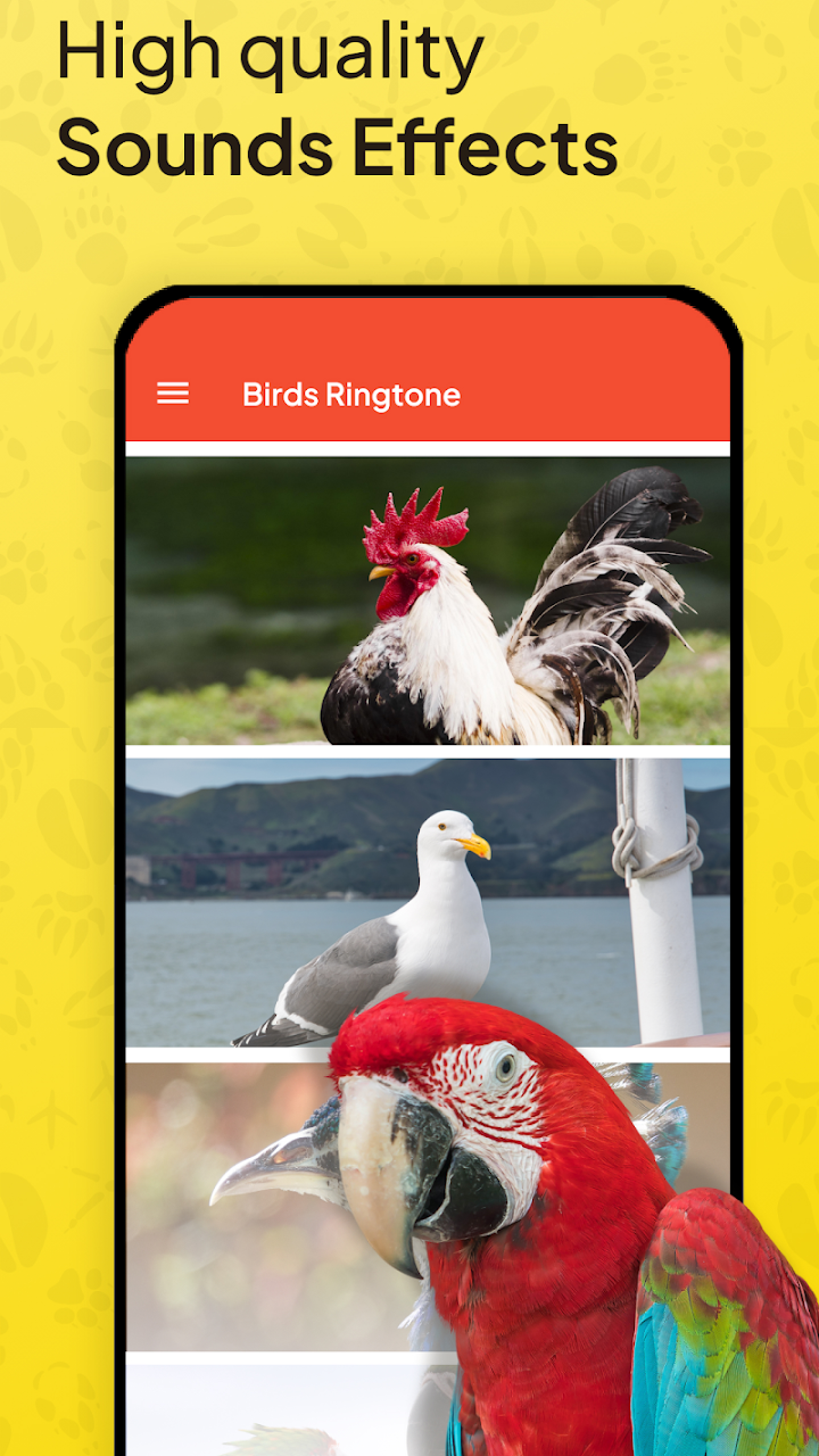 اسکرین شات 5 برنامه Animal Ringtone - Birds Sound