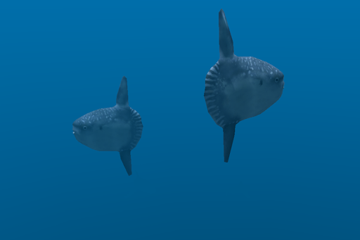 اسکرین شات 2 برنامه Ocean Dream