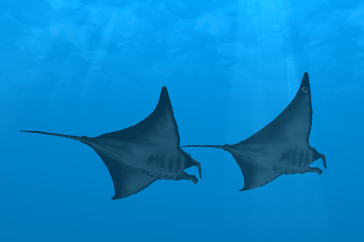 اسکرین شات 3 برنامه Ocean Dream