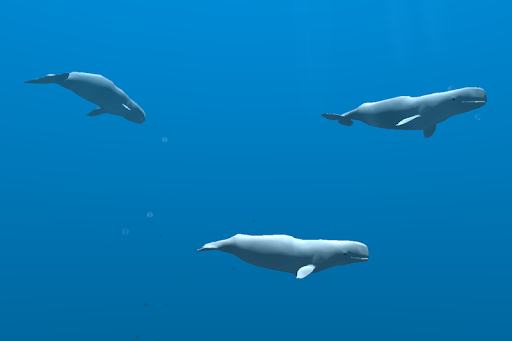اسکرین شات 4 برنامه Ocean Dream