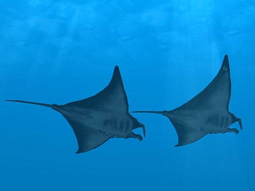 اسکرین شات 8 برنامه Ocean Dream