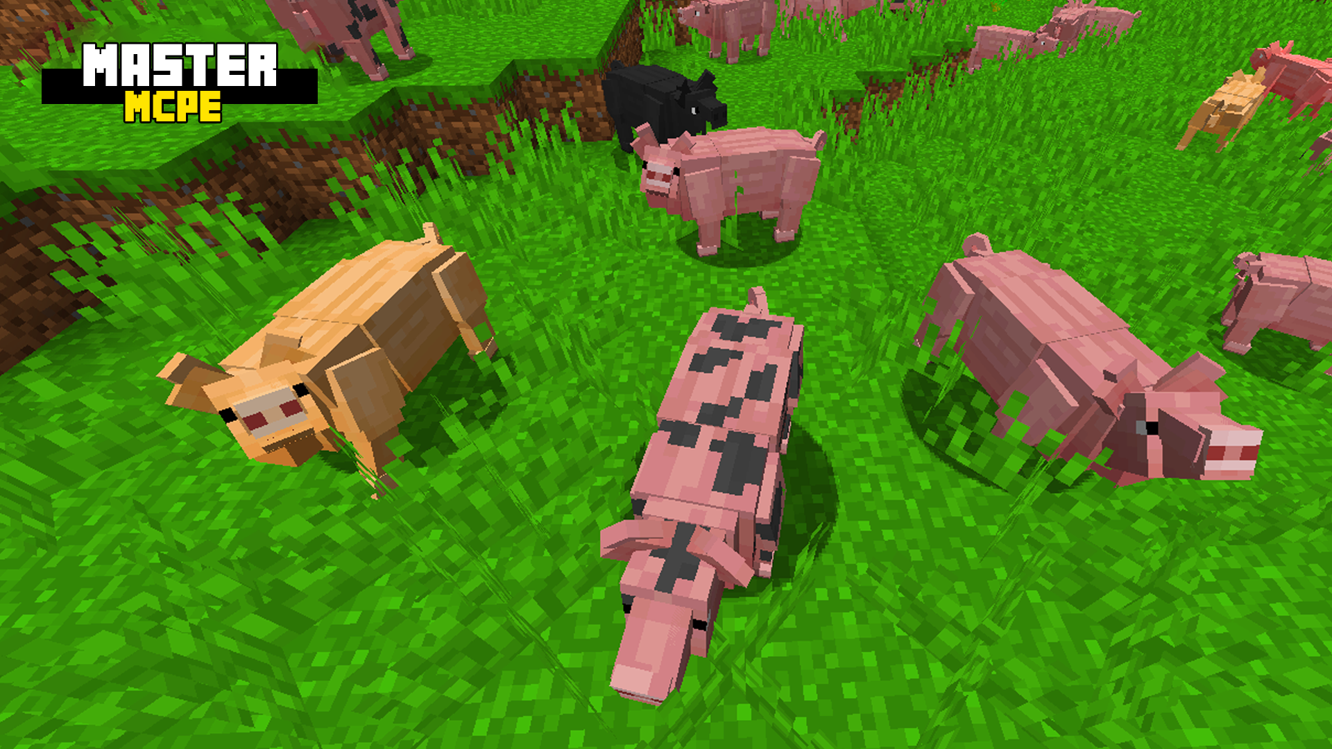 اسکرین شات 6 برنامه Master for Minecraft PE - MCPE