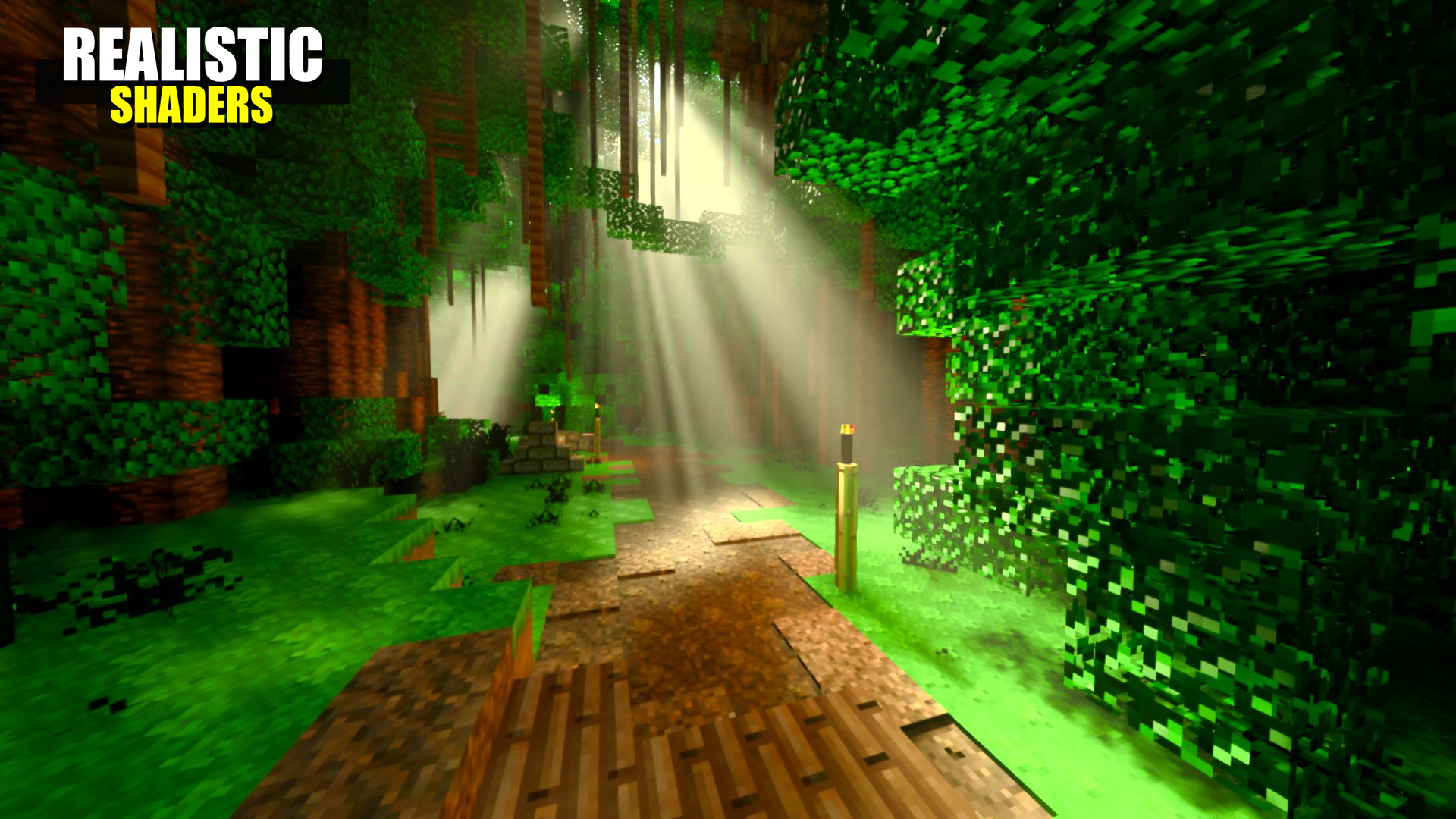 اسکرین شات 3 برنامه Realistic Shader Mod Packs
