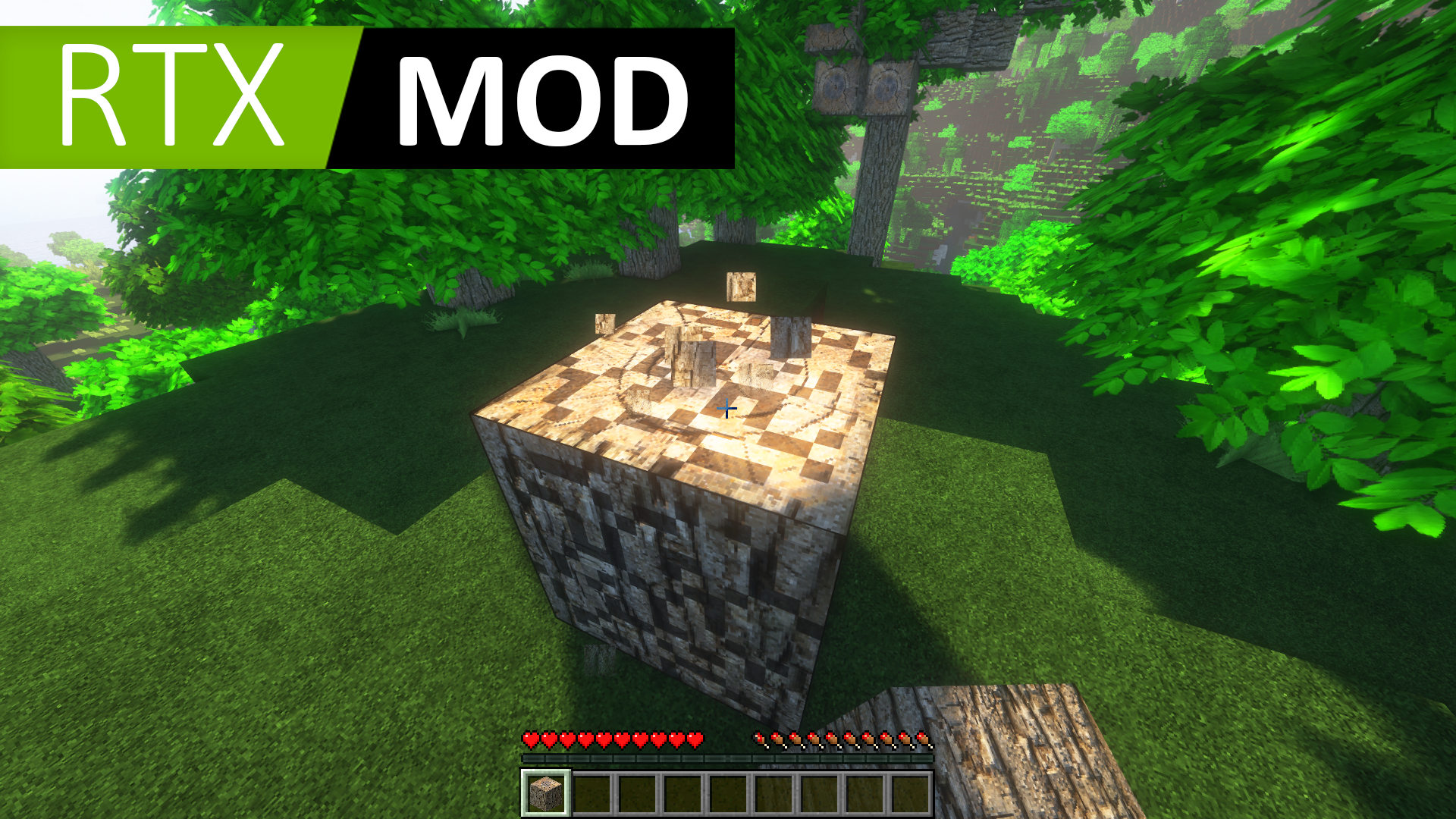 اسکرین شات 7 برنامه RTX Shaders for Minecraft