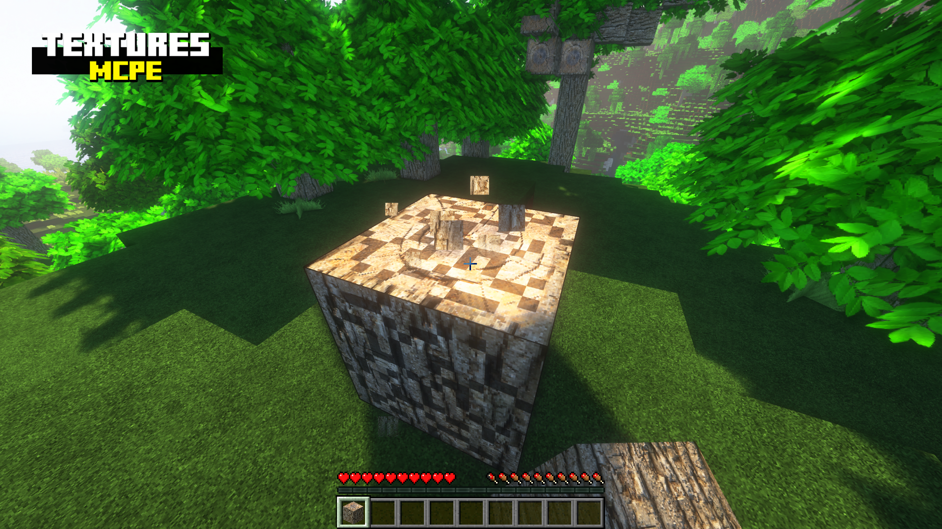 اسکرین شات 7 برنامه Texture Packs for Minecraft PE
