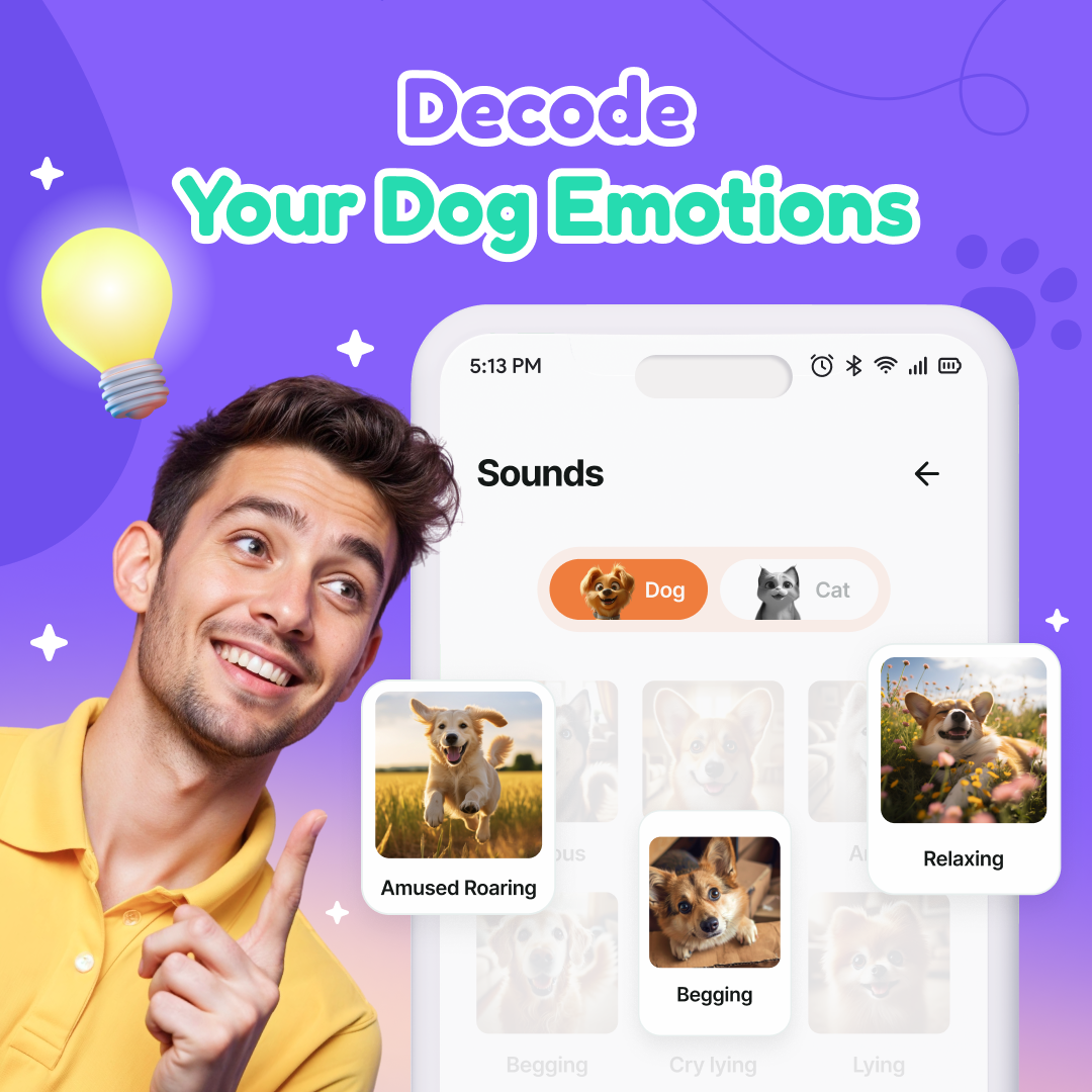 اسکرین شات 3 برنامه Human to Dog Translator