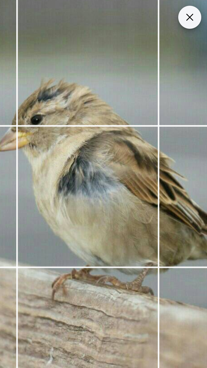 اسکرین شات 4 برنامه Drawing Grid