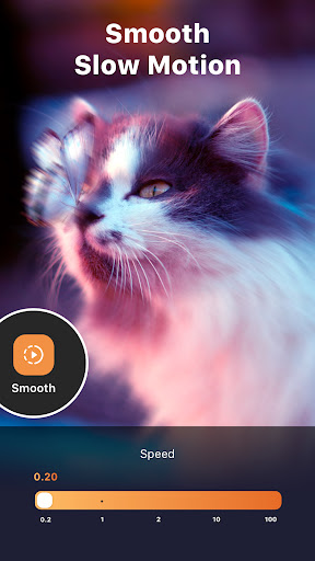 اسکرین شات 7 برنامه این‌شات - InShot