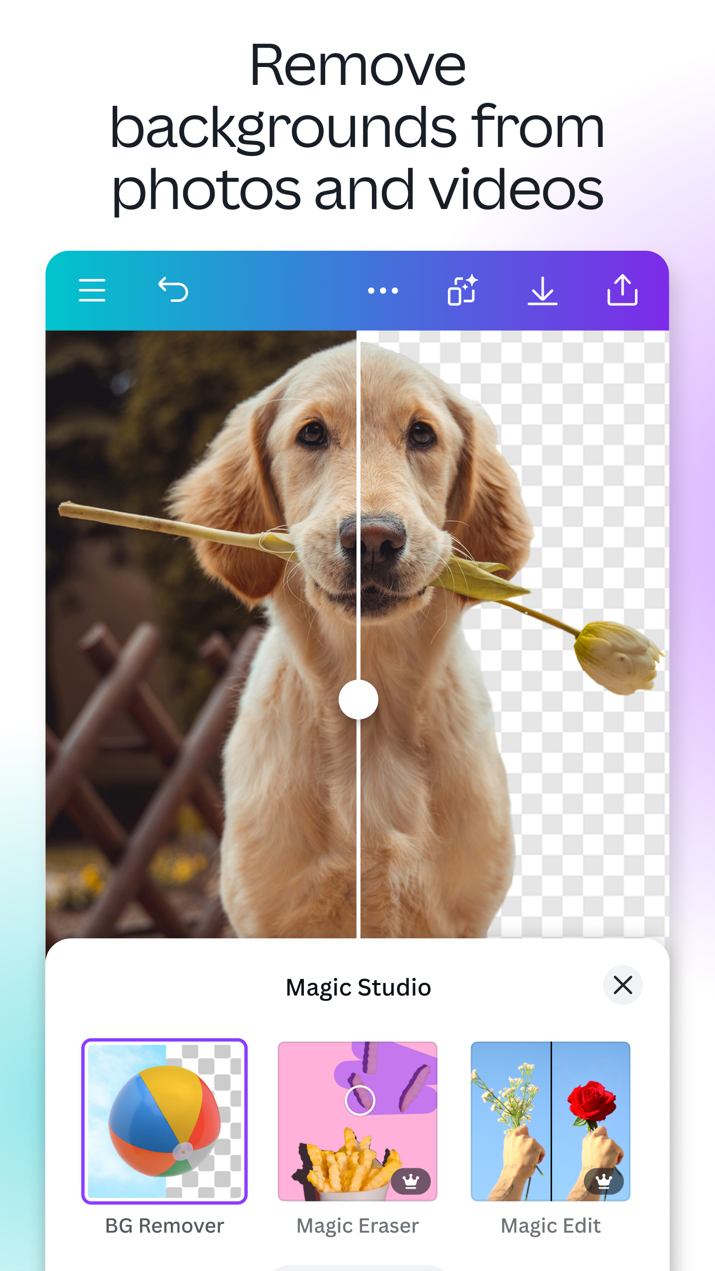 اسکرین شات 6 برنامه Canva: AI Video & Photo Editor