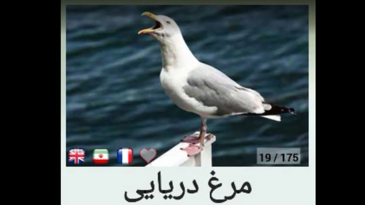 اسکرین شات 6 برنامه صدای حیوانات :: آموزش کودکانه ::